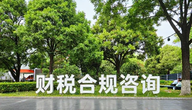 财税咨询场景中常见问题的深度剖析与解决路径